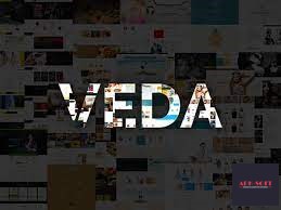 Unleashing Creative Potential with Veda WordPress Theme 1